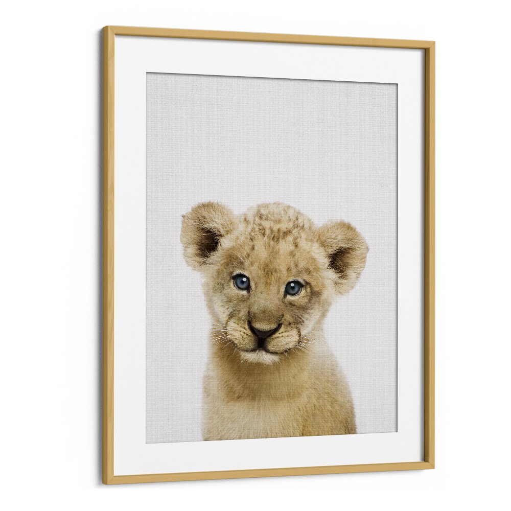 Peekaboo Baby Lion By Lola Peacock Kids Room Paintings in Oak Wood Frame With Mount