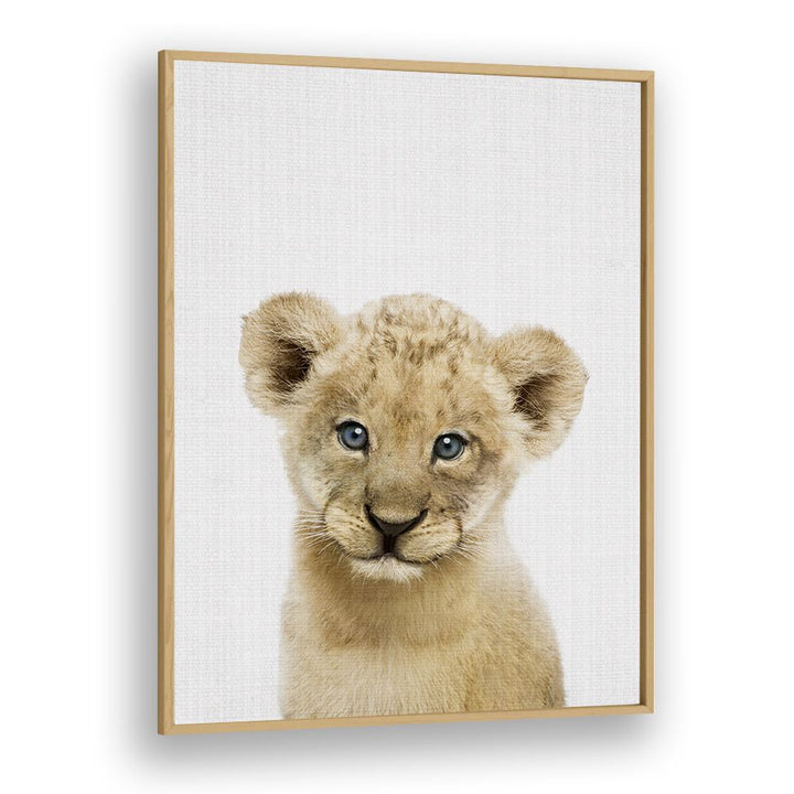 Peekaboo Baby Lion By Lola Peacock Kids Room Paintings in Oak Wood Plain Frame