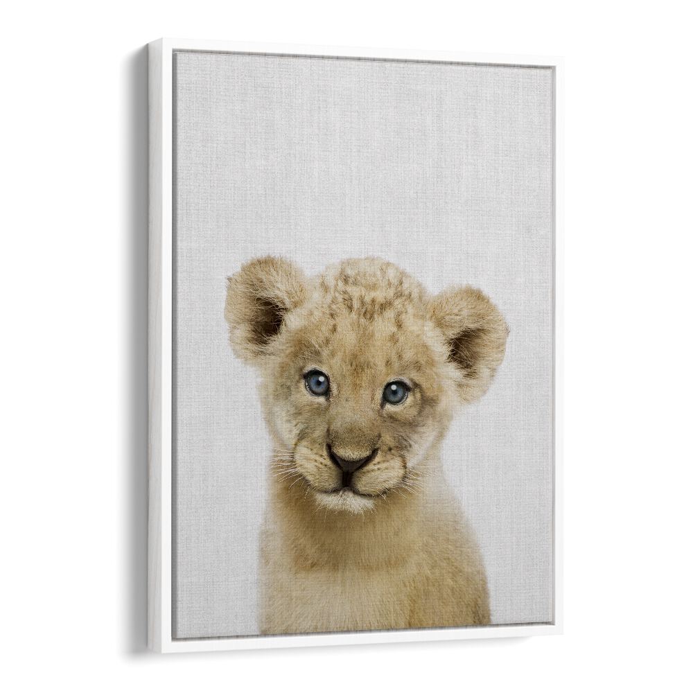 Peekaboo Baby Lion By Lola Peacock Kids Room Paintings in White Floater Frame