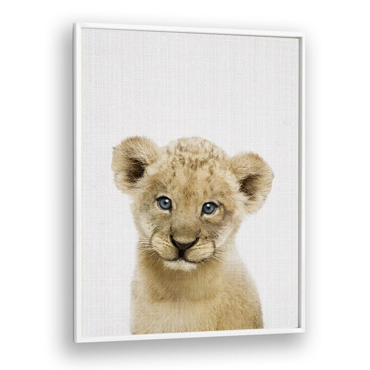 Peekaboo Baby Lion By Lola Peacock Kids Room Paintings in White Plain Frame