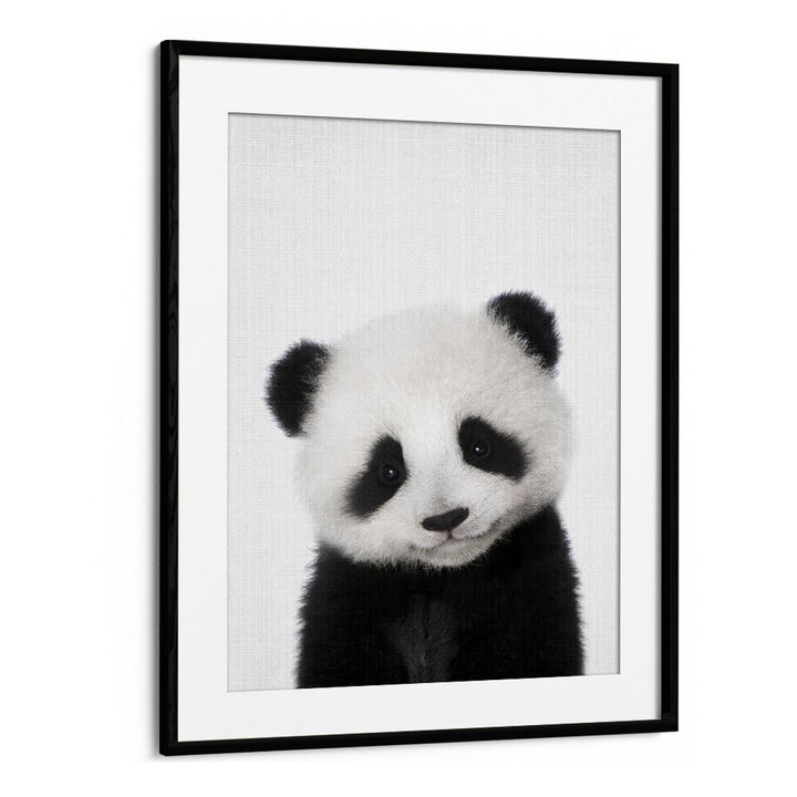 Peekaboo Baby Panda By Lola Peacock Kids Room Paintings in Black Frame With Mount