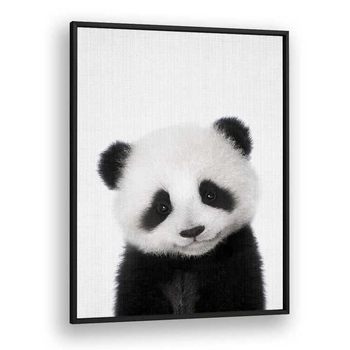 Peekaboo Baby Panda By Lola Peacock Kids Room Paintings in Black Plain Frame