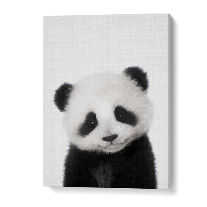 Peekaboo Baby Panda By Lola Peacock Kids Room Paintings in Gallery Wrap