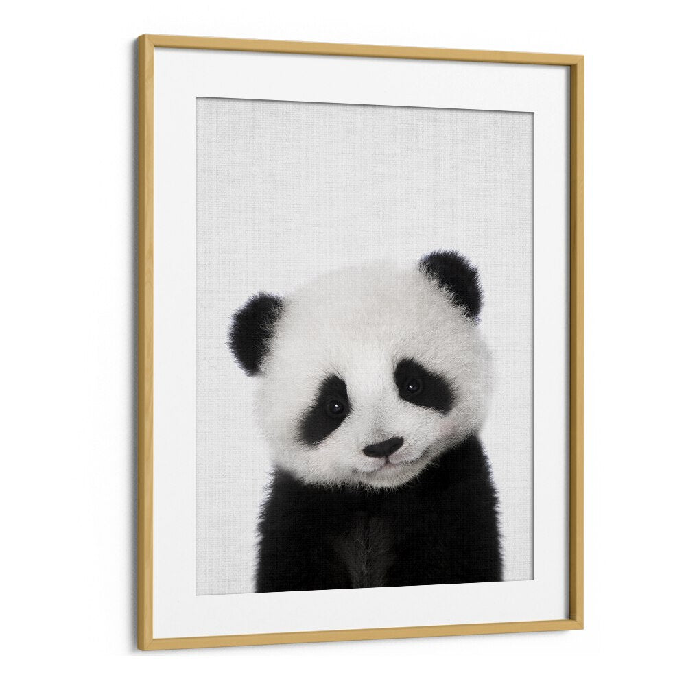 Peekaboo Baby Panda By Lola Peacock Kids Room Paintings in Oak Wood Frame With Mount