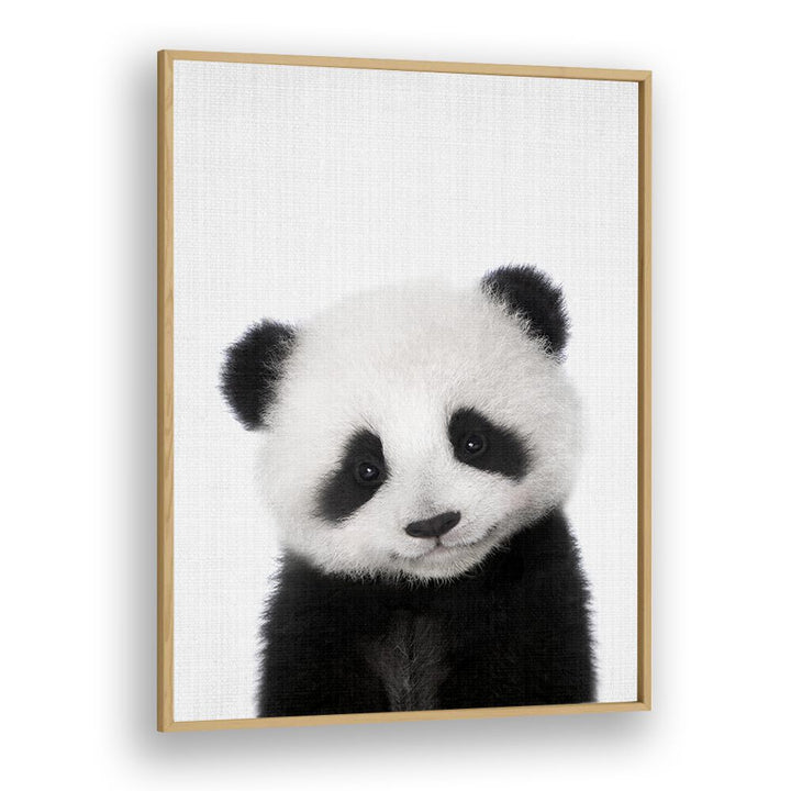 Peekaboo Baby Panda By Lola Peacock Kids Room Paintings in Oak Wood Plain Frame