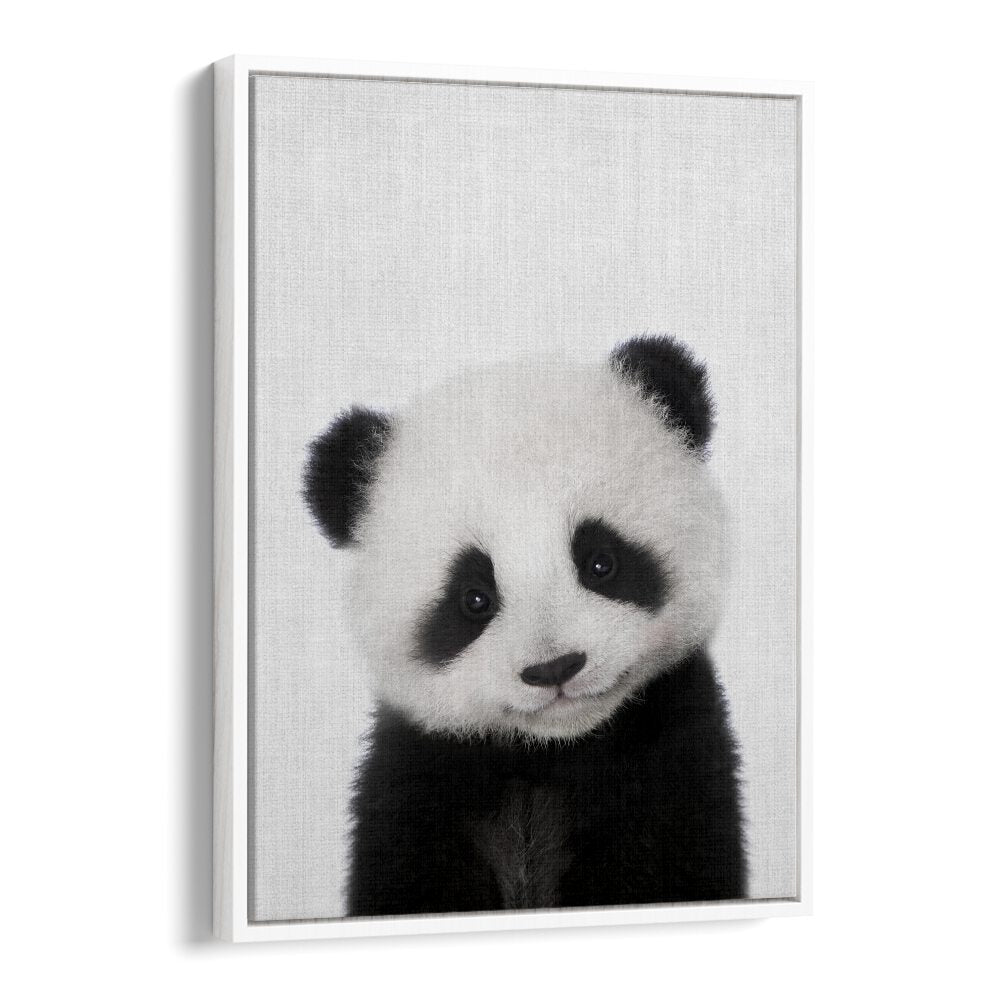 Peekaboo Baby Panda By Lola Peacock Kids Room Paintings in White Floater Frame