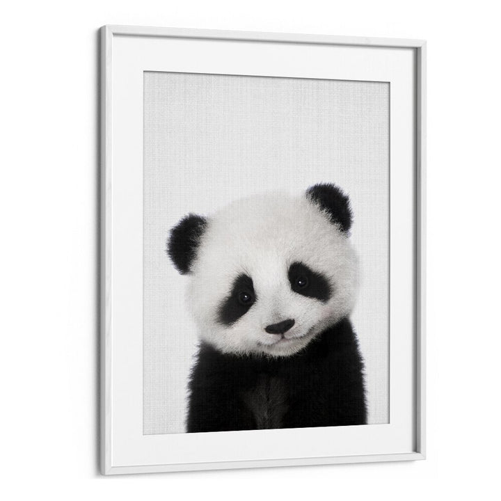 Peekaboo Baby Panda By Lola Peacock Kids Room Paintings in White Frame With Mount