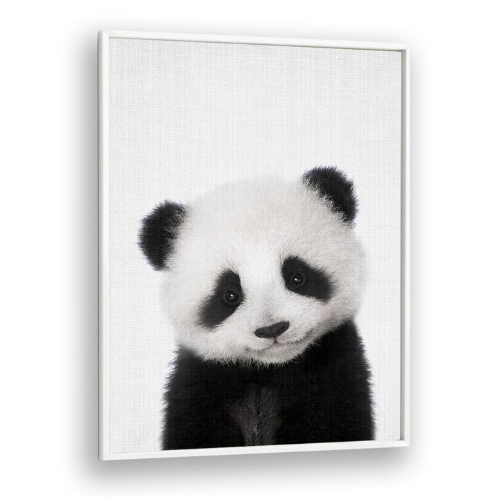 Peekaboo Baby Panda By Lola Peacock Kids Room Paintings in White Plain Frame