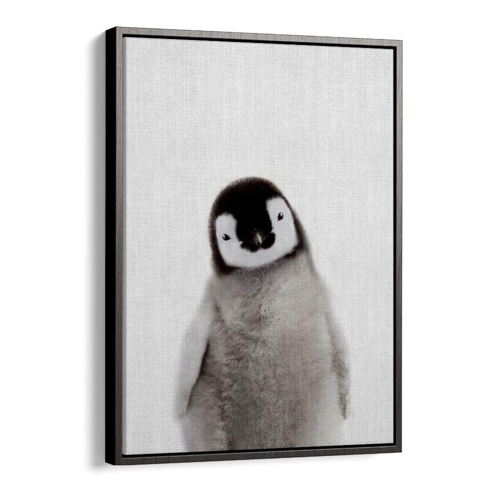 Peekaboo Baby Penguin By Lola Peacock Kids Room Paintings in Black Floater Frame