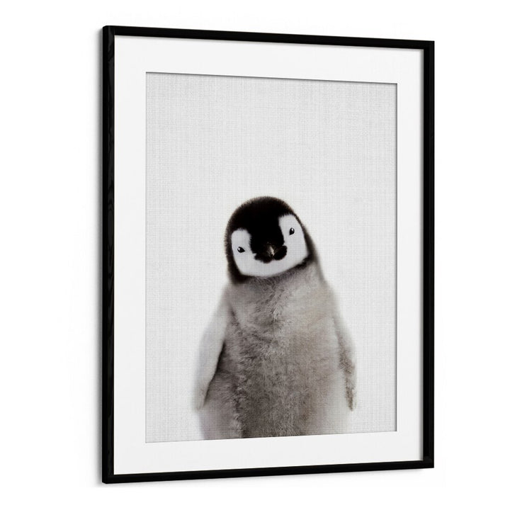 Peekaboo Baby Penguin By Lola Peacock Kids Room Paintings in Black Frame With Mount