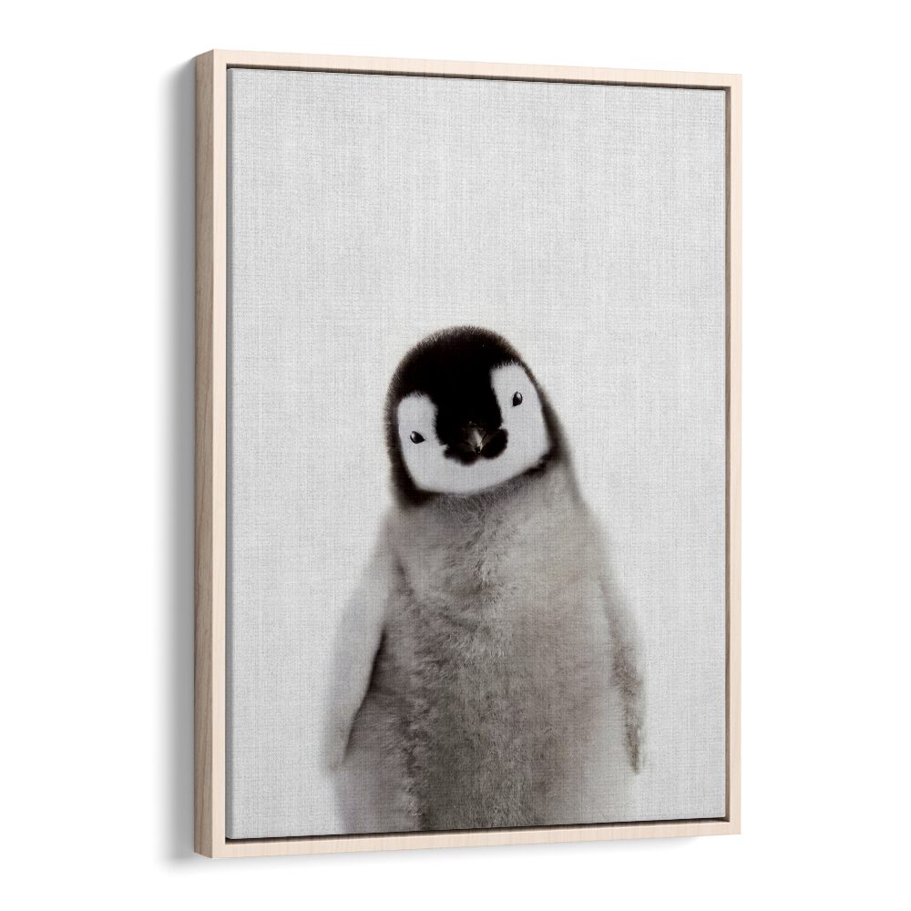 Peekaboo Baby Penguin By Lola Peacock Kids Room Paintings in Oak Wood Floater Frame