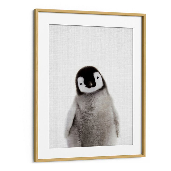 Peekaboo Baby Penguin By Lola Peacock Kids Room Paintings in Oak Wood Frame With Mount