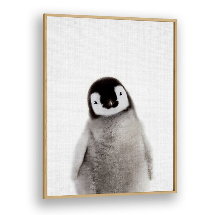 Peekaboo Baby Penguin By Lola Peacock Kids Room Paintings in Oak Wood Plain Frame