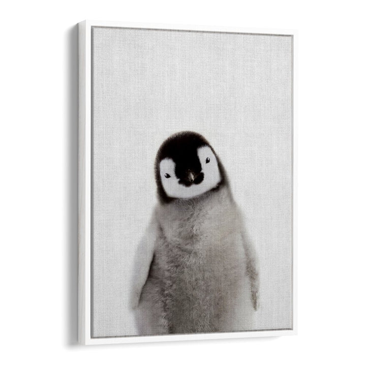 Peekaboo Baby Penguin By Lola Peacock Kids Room Paintings in White Floater Frame