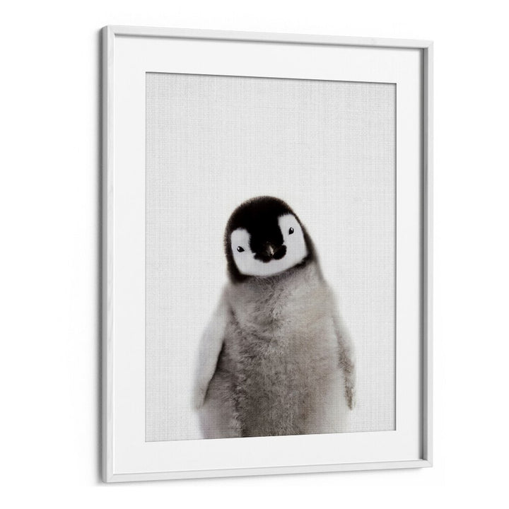 Peekaboo Baby Penguin By Lola Peacock Kids Room Paintings in White Frame With Mount