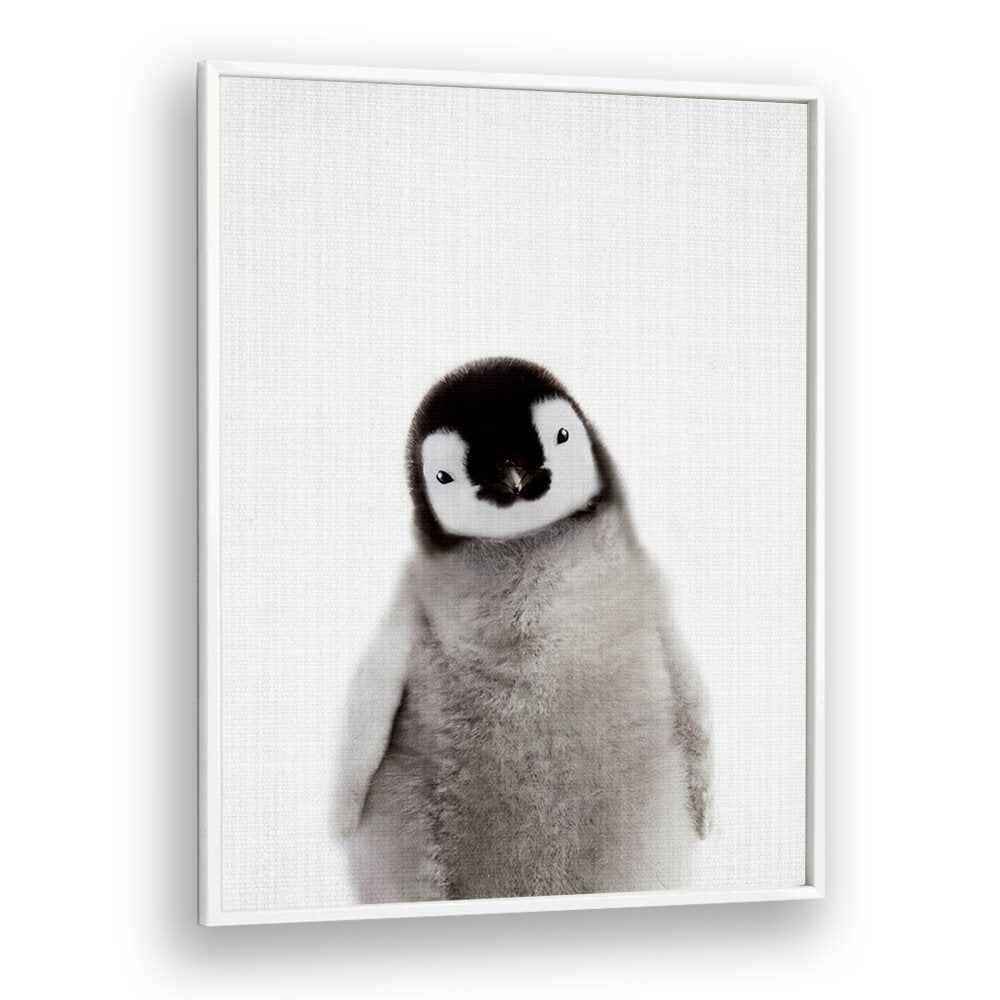 Peekaboo Baby Penguin By Lola Peacock Kids Room Paintings in White Plain Frame