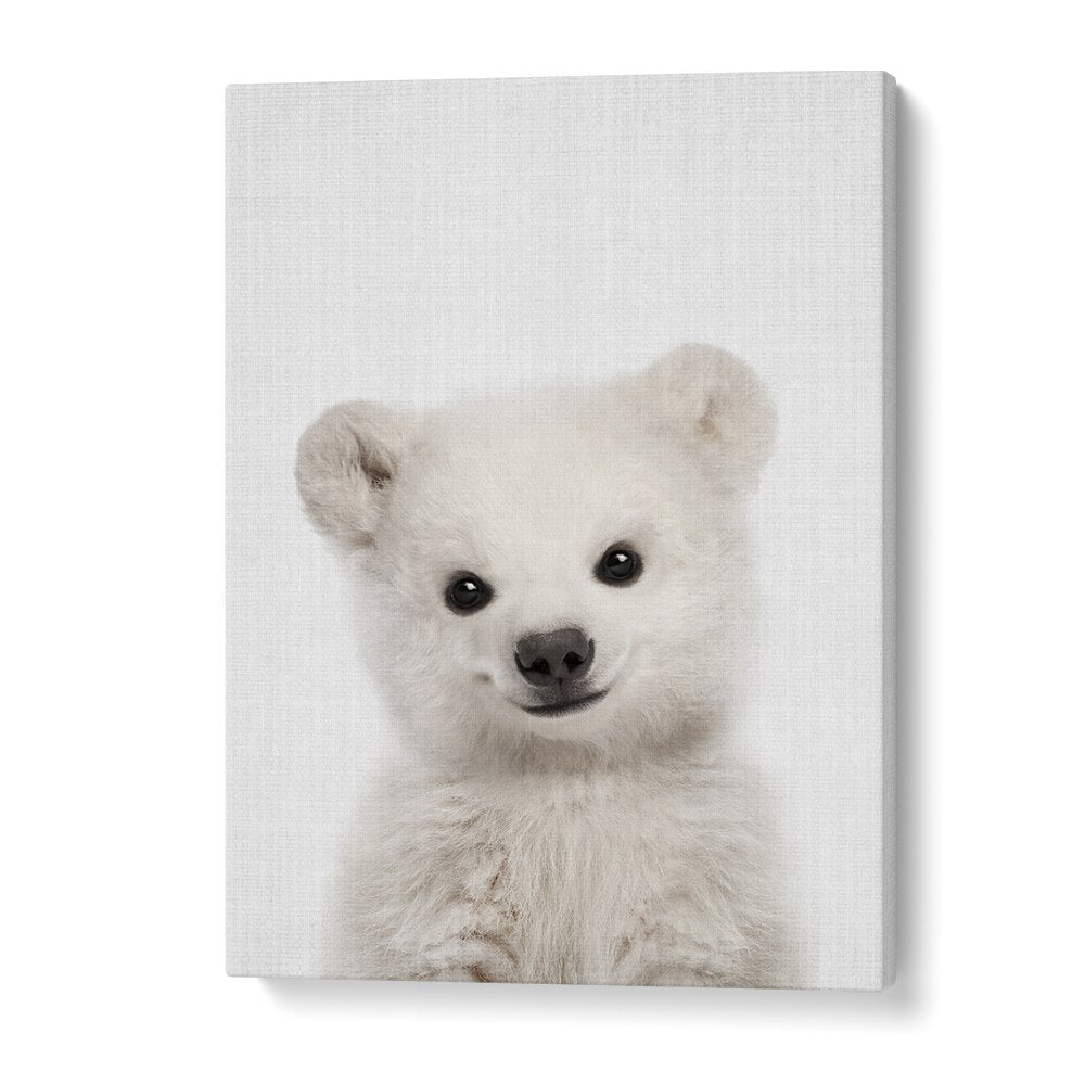 Peekaboo Baby Polar Bear By Lola Peacock Kids Room Paintings in Gallery Wrap