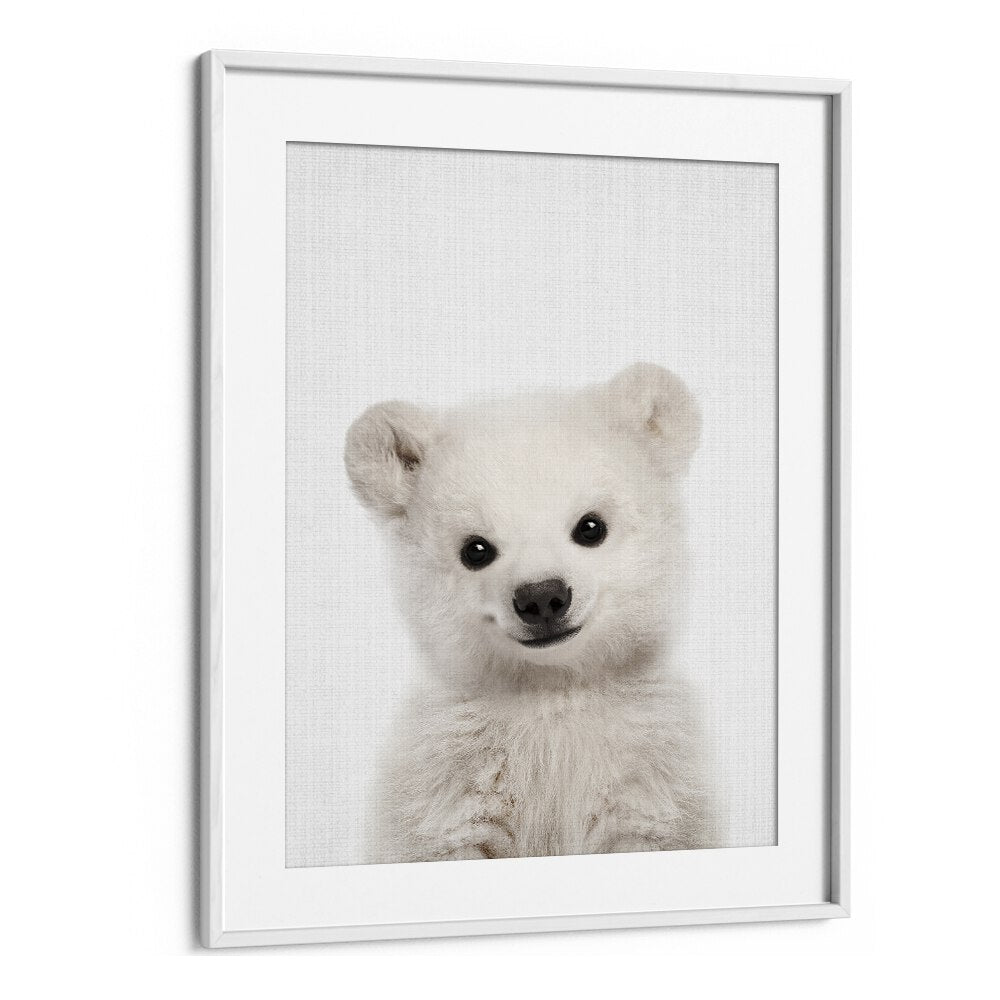 Peekaboo Baby Polar Bear By Lola Peacock Kids Room Paintings in White Frame With Mount