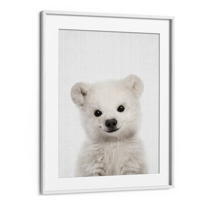 Peekaboo Baby Polar Bear By Lola Peacock Kids Room Paintings in White Frame With Mount