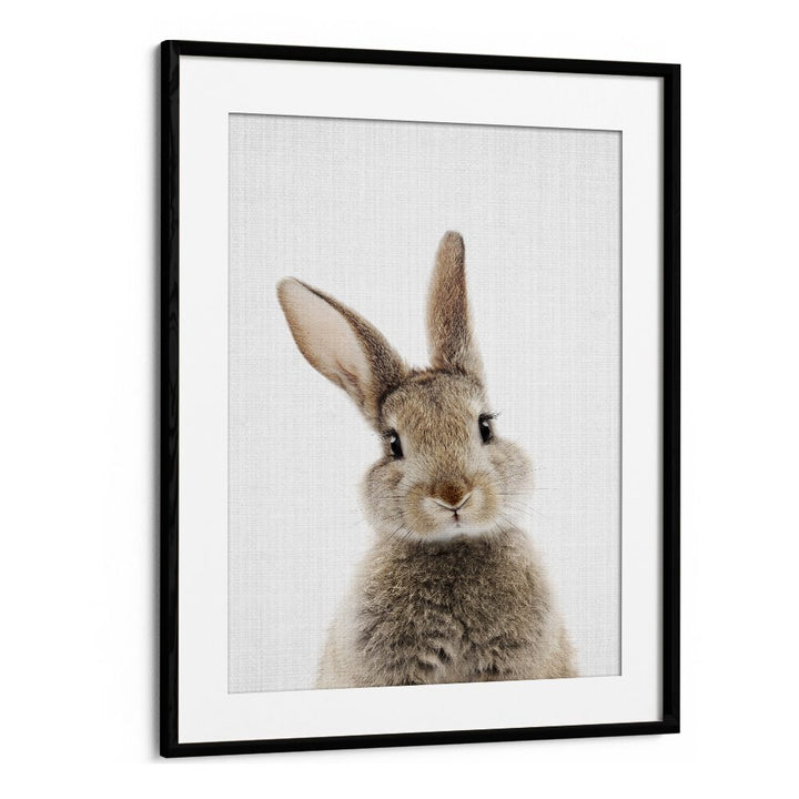 Peekaboo Baby Rabbit By Lola Peacock Kids Room Paintings in Black Frame With Mount