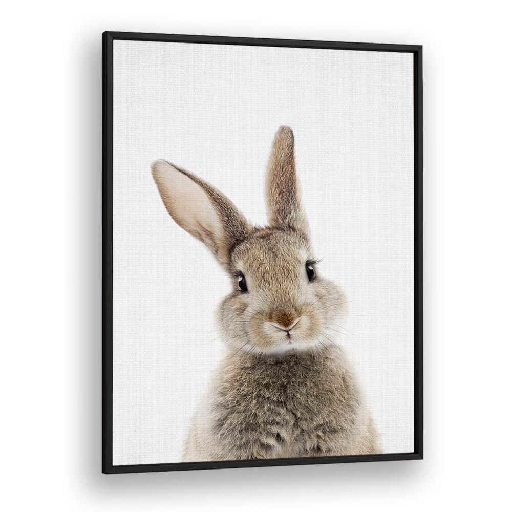 Peekaboo Baby Rabbit By Lola Peacock Kids Room Paintings in Black Plain Frame