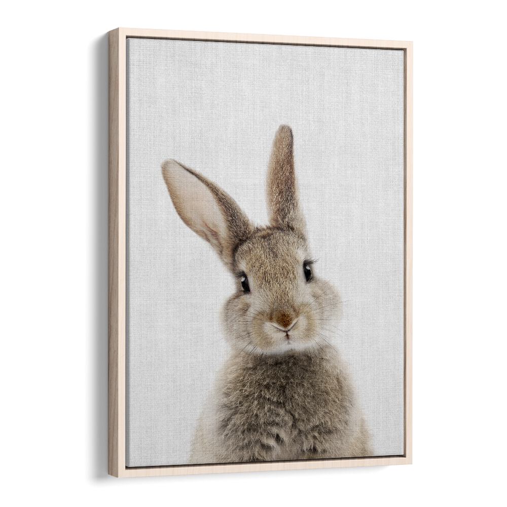 Peekaboo Baby Rabbit By Lola Peacock Kids Room Paintings in Oak Wood Floater Frame