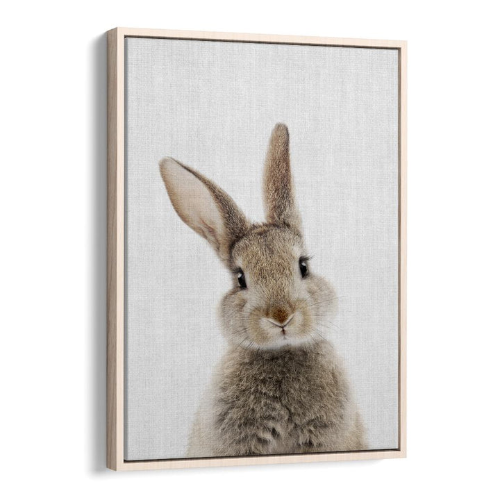 Peekaboo Baby Rabbit By Lola Peacock Kids Room Paintings in Oak Wood Floater Frame