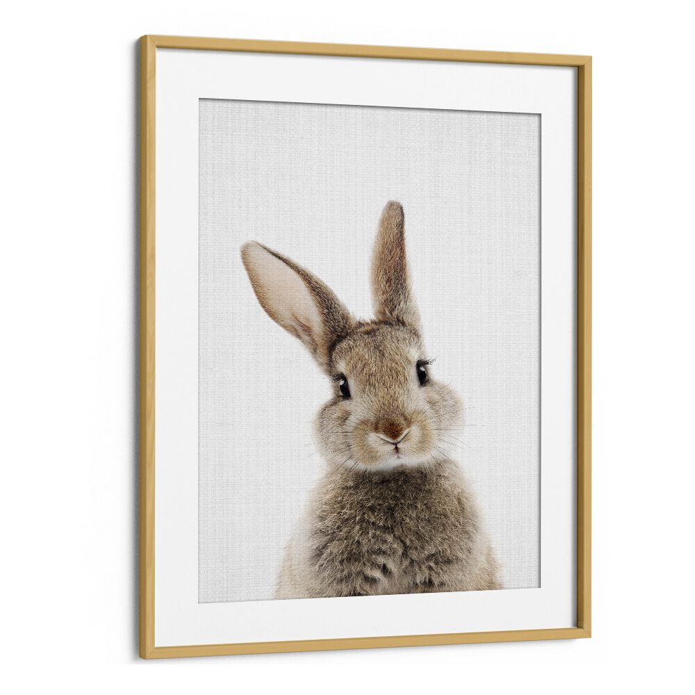 Peekaboo Baby Rabbit By Lola Peacock Kids Room Paintings in Oak Wood Frame With Mount