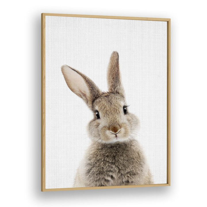 Peekaboo Baby Rabbit By Lola Peacock Kids Room Paintings in Oak Wood Plain Frame