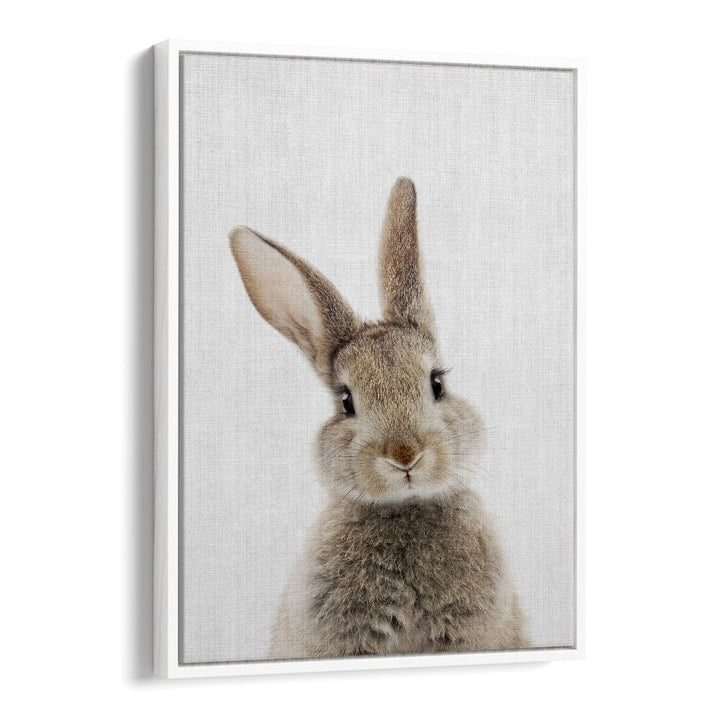 Peekaboo Baby Rabbit By Lola Peacock Kids Room Paintings in White Floater Frame