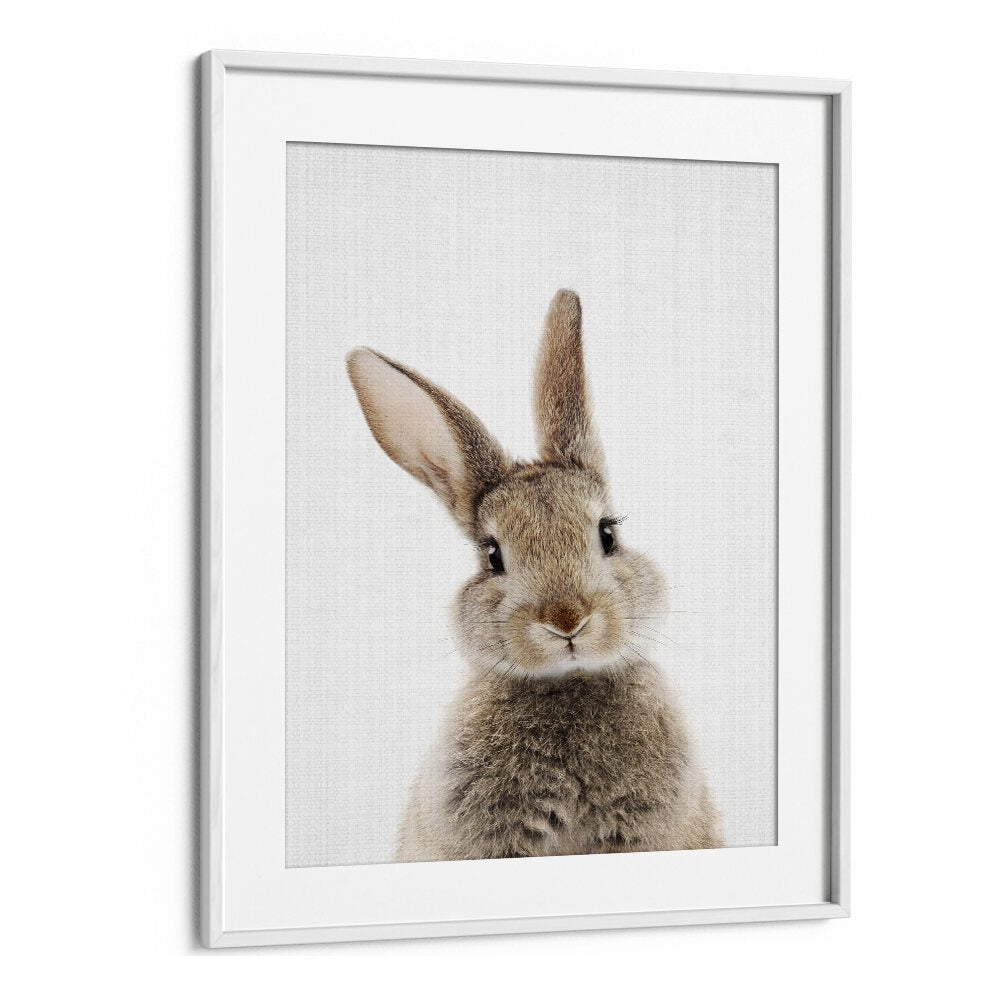 Peekaboo Baby Rabbit By Lola Peacock Kids Room Paintings in White Frame With Mount