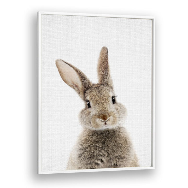 Peekaboo Baby Rabbit By Lola Peacock Kids Room Paintings in White Plain Frame