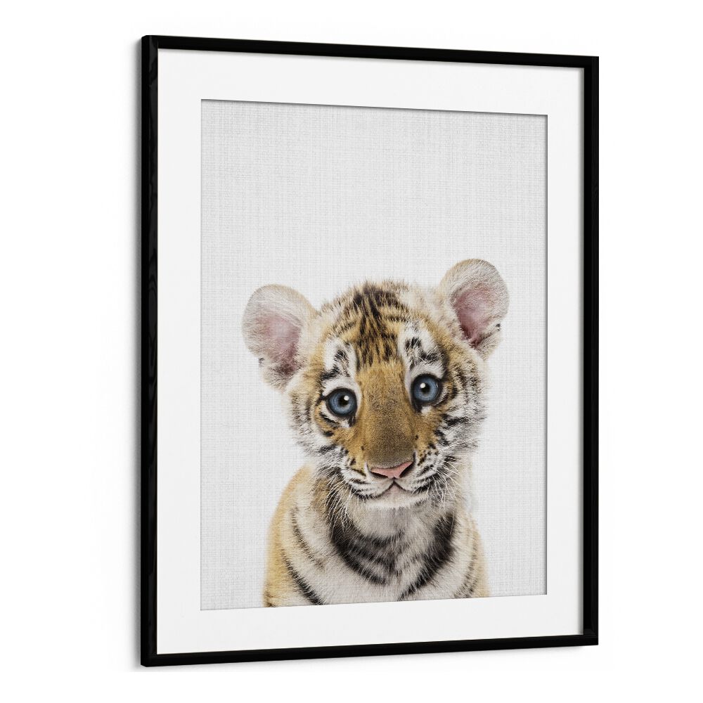 Peekaboo Baby Tiger By Lola Peacock Kids Room Paintings in Black Frame With Mount