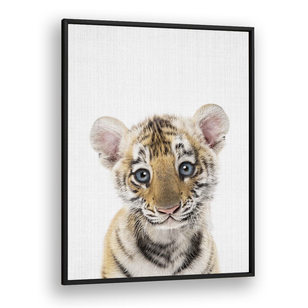 Peekaboo Baby Tiger By Lola Peacock Kids Room Paintings in Black Plain Frame