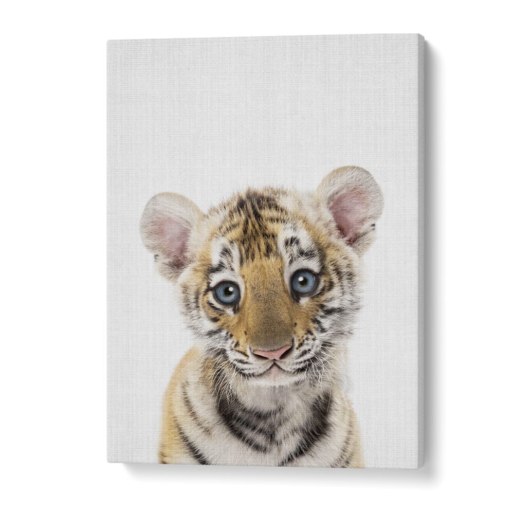 Peekaboo Baby Tiger By Lola Peacock Kids Room Paintings in Gallery Wrap