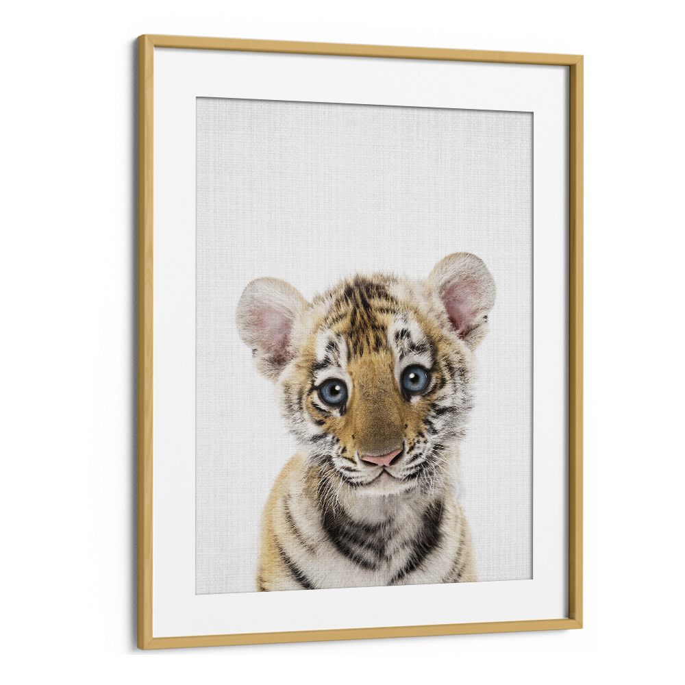 Peekaboo Baby Tiger By Lola Peacock Kids Room Paintings in Oak Wood Frame With Mount