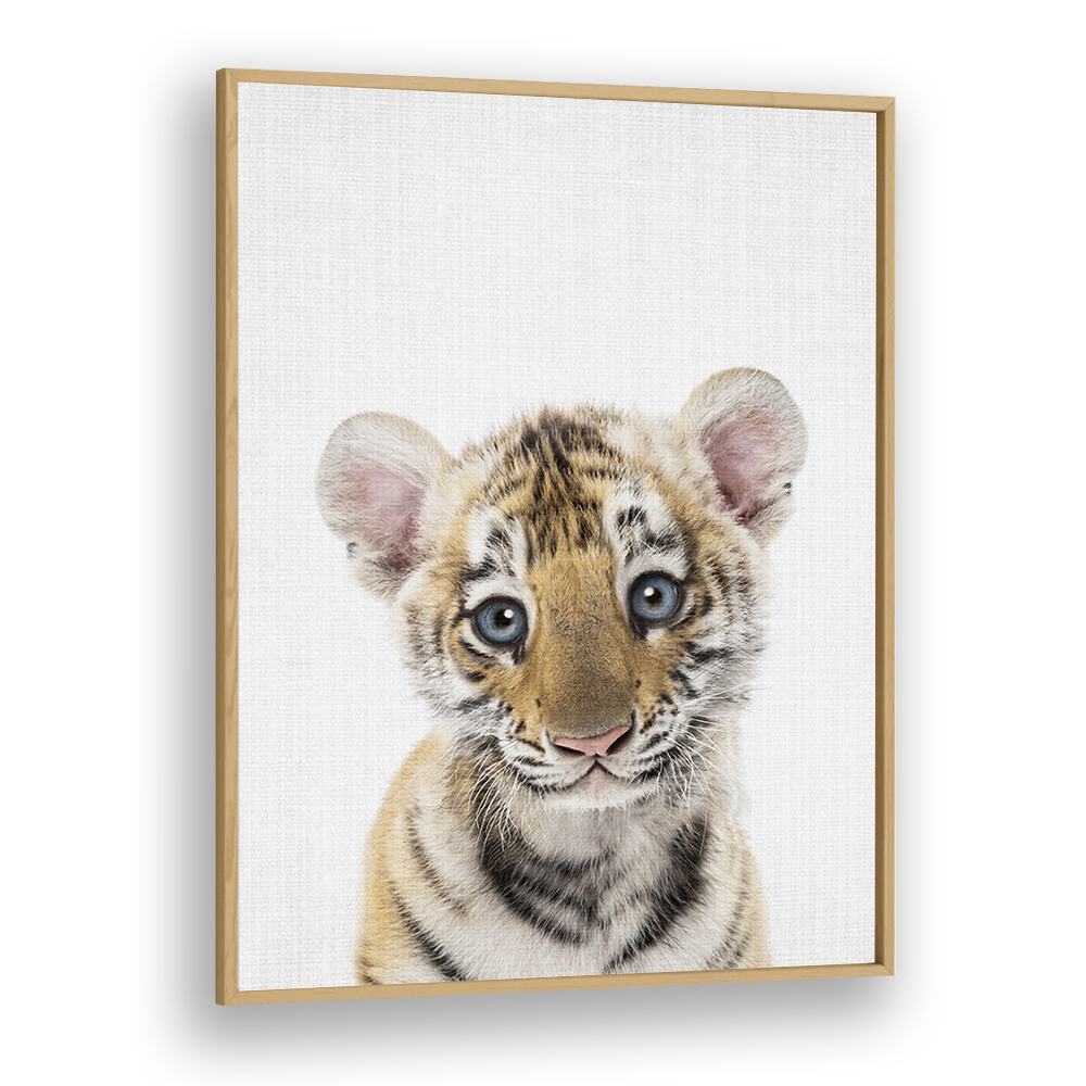 Peekaboo Baby Tiger By Lola Peacock Kids Room Paintings in Oak Wood Plain Frame