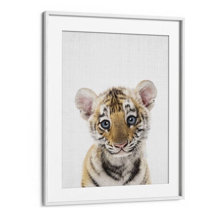 Peekaboo Baby Tiger By Lola Peacock Kids Room Paintings in White Frame With Mount