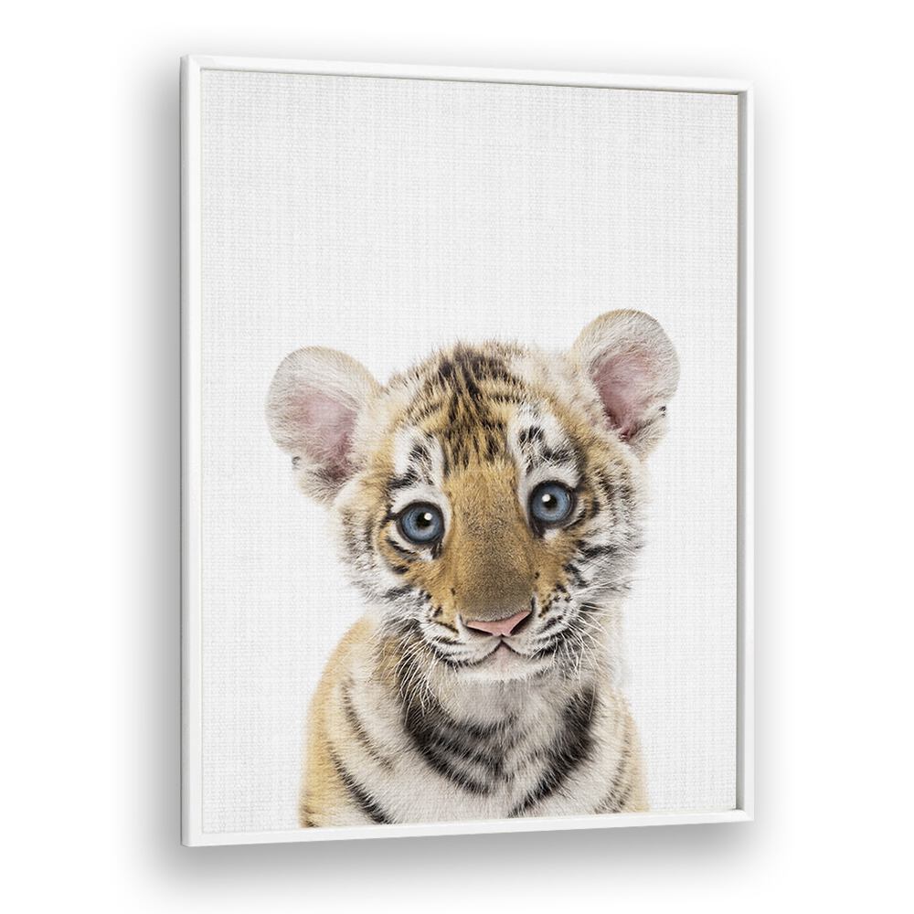 Peekaboo Baby Tiger By Lola Peacock Kids Room Paintings in White Plain Frame