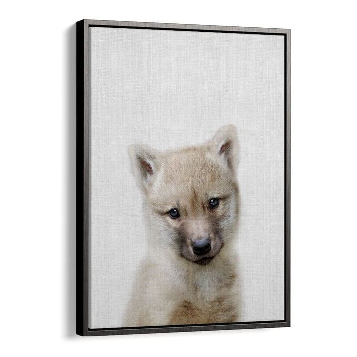 Peekaboo Baby Wolf By Lola Peacock Kids Room Paintings in Black Floater Frame