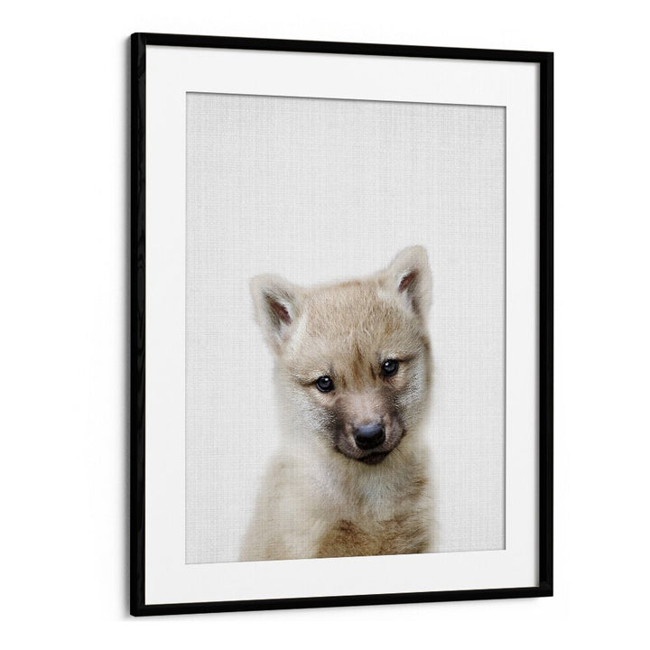 Peekaboo Baby Wolf By Lola Peacock Kids Room Paintings in Black Frame With Mount