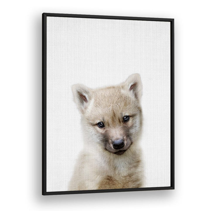 Peekaboo Baby Wolf By Lola Peacock Kids Room Paintings in Black Plain Frame