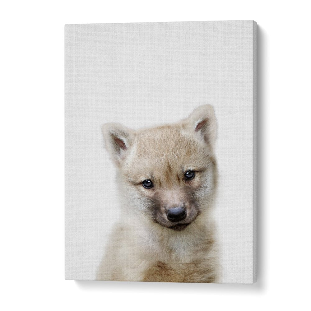 Peekaboo Baby Wolf By Lola Peacock Kids Room Paintings in Gallery Wrap