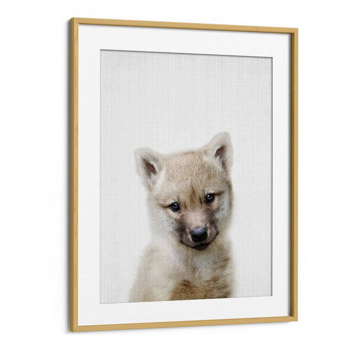 Peekaboo Baby Wolf By Lola Peacock Kids Room Paintings in Oak Wood Frame With Mount