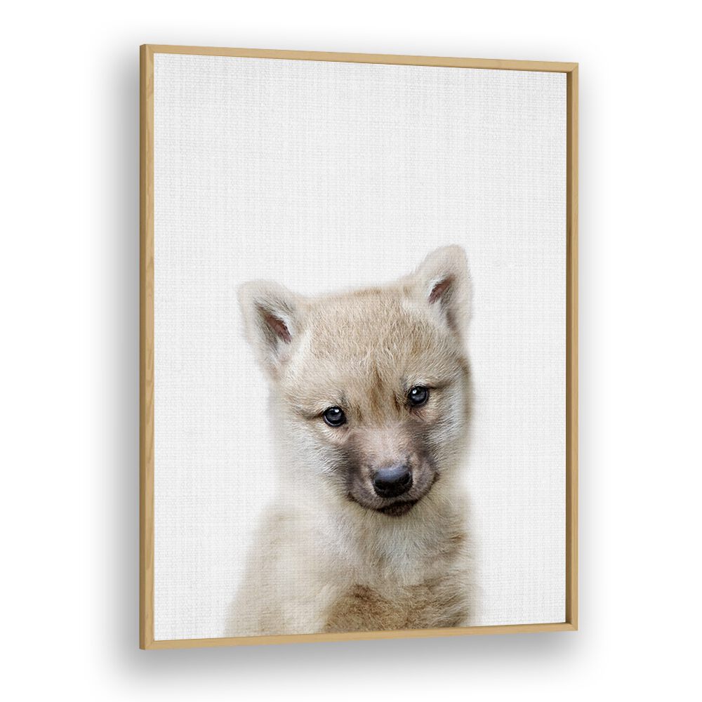 Peekaboo Baby Wolf By Lola Peacock Kids Room Paintings in Oak Wood Plain Frame