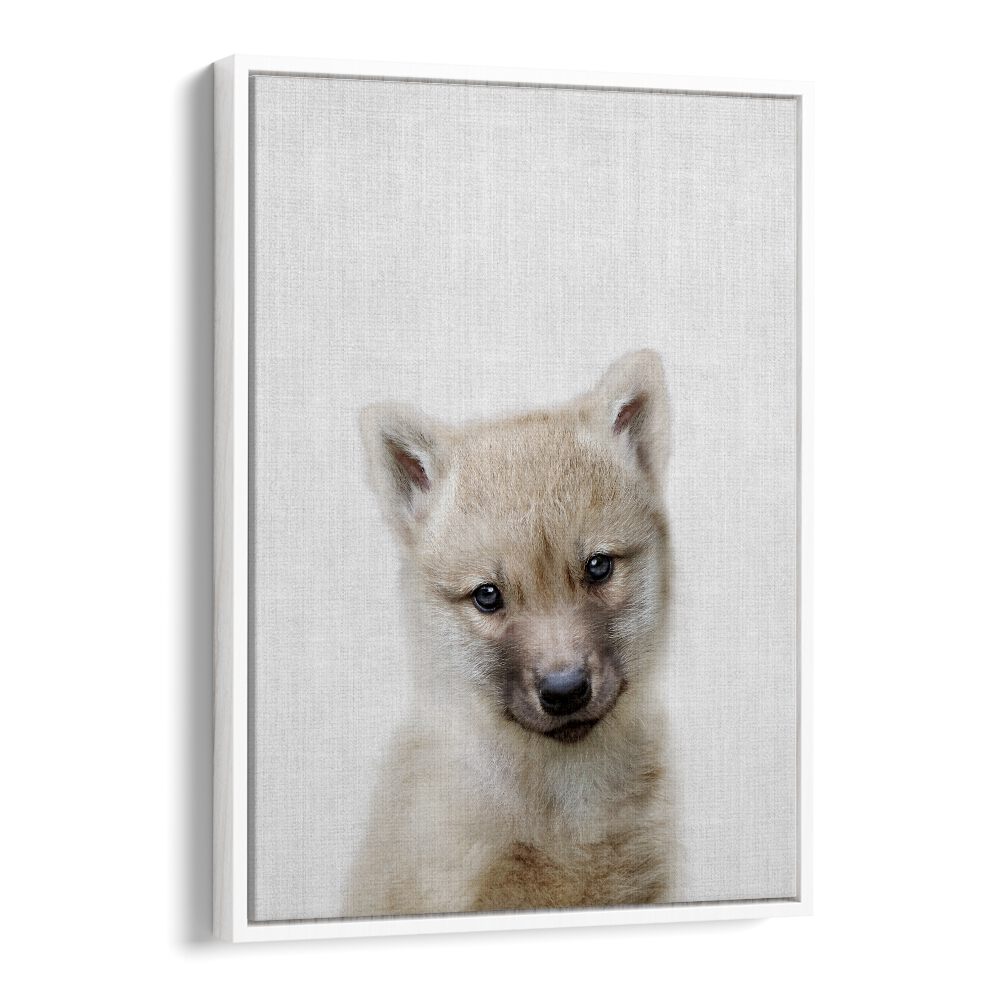 Peekaboo Baby Wolf By Lola Peacock Kids Room Paintings in White Floater Frame