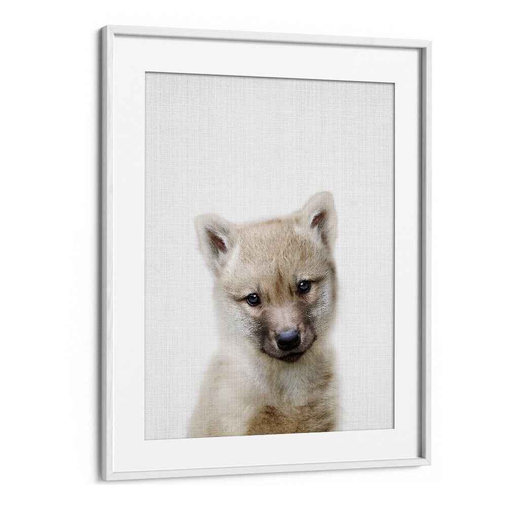 Peekaboo Baby Wolf By Lola Peacock Kids Room Paintings in White Frame With Mount