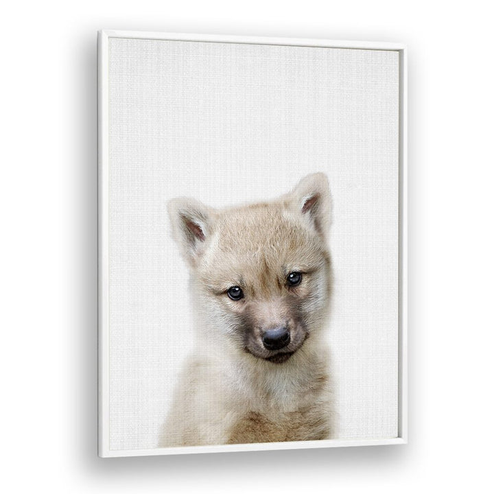 Peekaboo Baby Wolf By Lola Peacock Kids Room Paintings in White Plain Frame