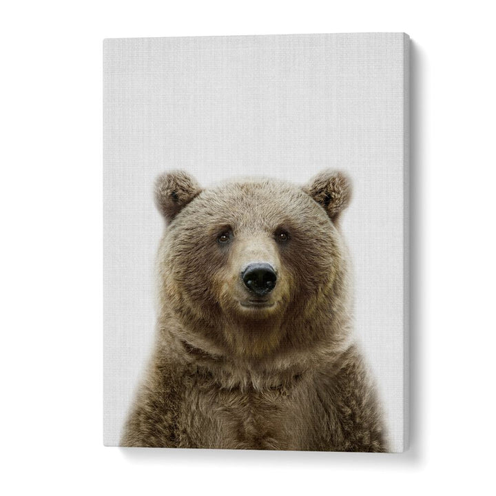 Peekaboo Bear By Lola Peacock Kids Room Paintings in Gallery Wrap