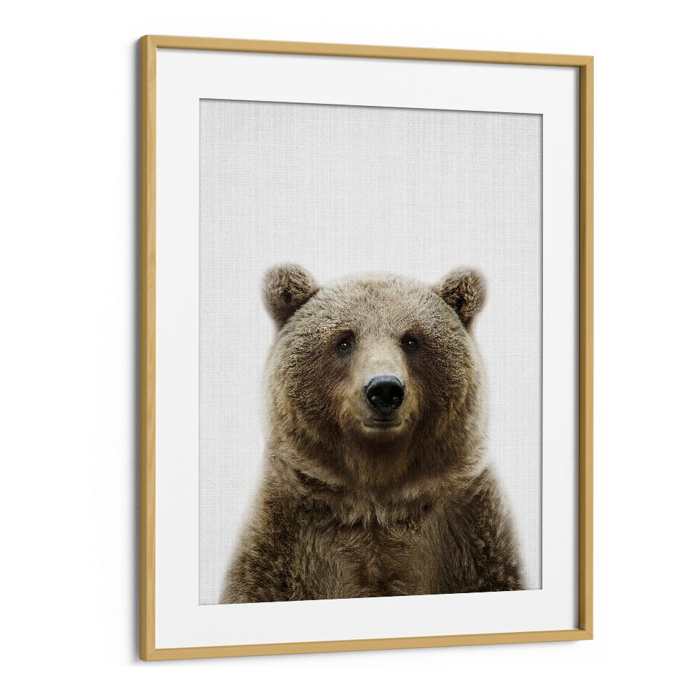 Peekaboo Bear By Lola Peacock Kids Room Paintings in Oak Wood Frame With Mount